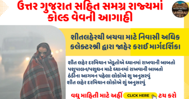 Gujarat weather cold wave