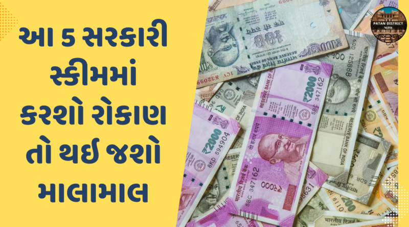 Invest in these 5 Government Schemes