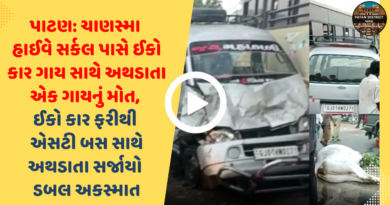 Chanasma Highway Circle accident