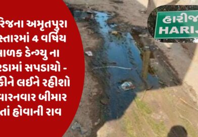 હારિજના અમૃતપુરા વિસ્તારમાં 4 વર્ષિય બાળક ડેન્ગ્યુ ના ભરડામાં સપડાયો – ગંદકીને લઈને રહીશો અવારનવાર બીમાર થતાં હોવાની રાવ