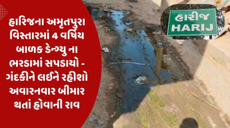 હારિજના અમૃતપુરા વિસ્તારમાં 4 વર્ષિય બાળક ડેન્ગ્યુ ના ભરડામાં સપડાયો – ગંદકીને લઈને રહીશો અવારનવાર બીમાર થતાં હોવાની રાવ