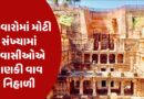 Rani Ki Vav : તહેવારોમાં મોટી સંખ્યામાં પ્રવાસીઓએ રાણકી વાવ નિહાળી